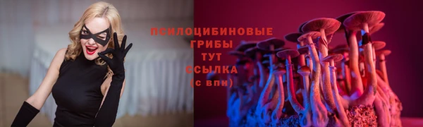 молекула духа Дмитровск