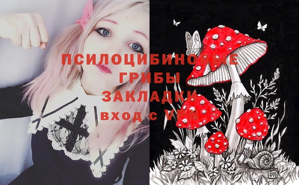 ГАЛЛЮЦИНОГЕННЫЕ ГРИБЫ Дмитров