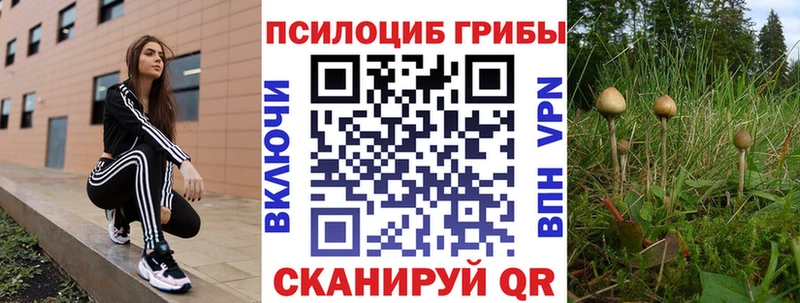 Галлюциногенные грибы Psilocybine cubensis  Купить  Михайлов 